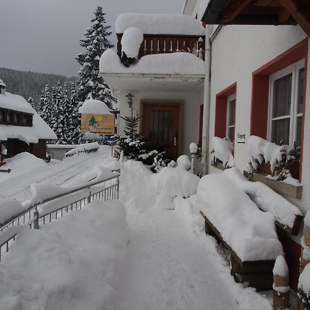 Haus Sommerberg Feldberg  Ngoại thất bức ảnh