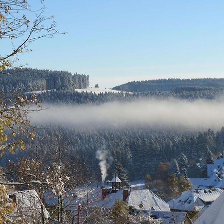 Haus Sommerberg Feldberg  Ngoại thất bức ảnh